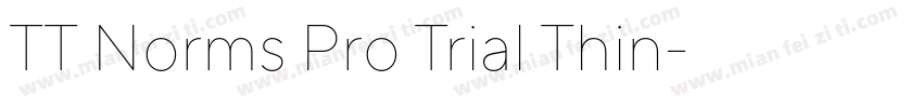 TT Norms Pro Trial Thin字体转换